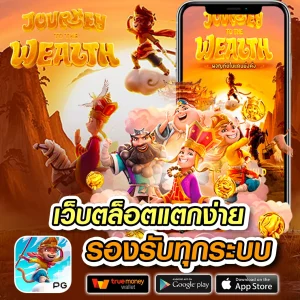 paotung login